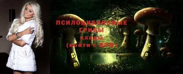 дживик Богородицк