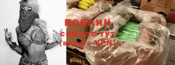 дживик Богородицк