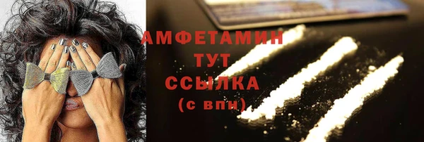 дживик Богородицк