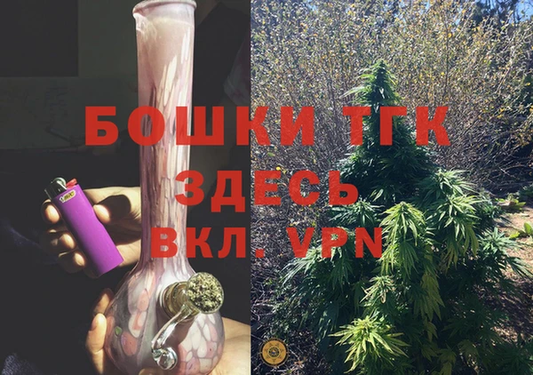 спиды Богородск