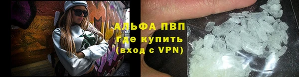 дживик Богородицк