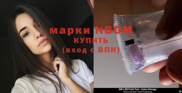 дживик Богородицк
