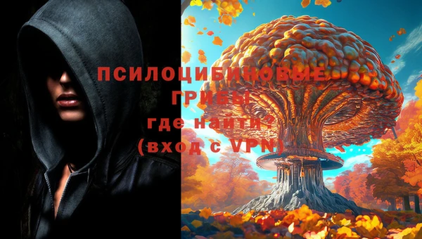 дживик Богородицк