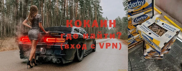 дживик Богородицк