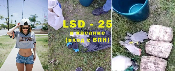 первитин Богданович