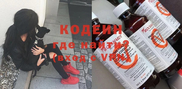 дживик Богородицк