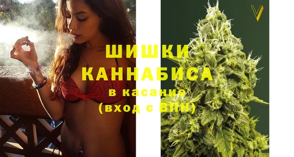 дживик Богородицк