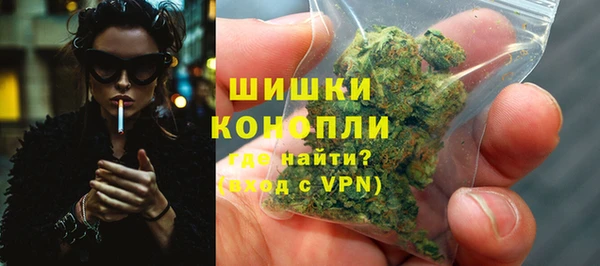 спиды Богородск
