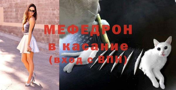 дживик Богородицк