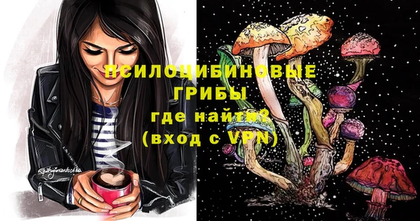 первитин Богданович
