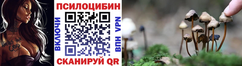 Галлюциногенные грибы GOLDEN TEACHER  Купить  Свирск 